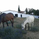 La Vallejera Tejeda de Tiétar