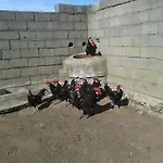 La Vallejera Tejeda de Tiétar