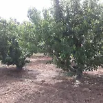 La Vallejera *