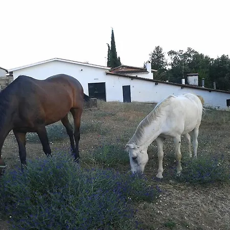 La Vallejera Tejeda de Tiétar