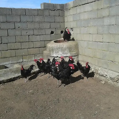 La Vallejera Tejeda de Tiétar