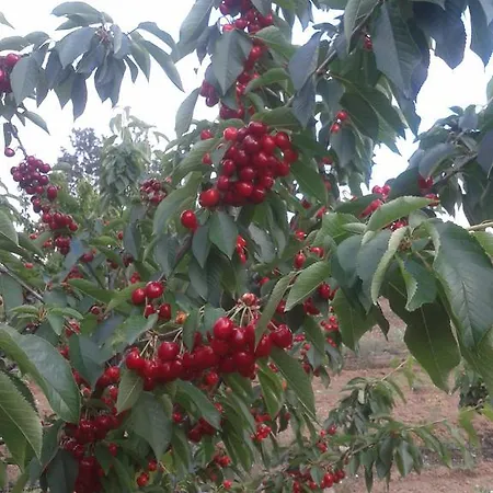 La Vallejera カントリーハウス