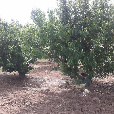 La Vallejera *