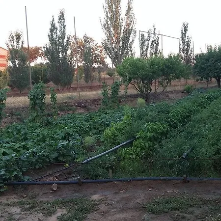La Vallejera * Tejeda Del Tietar