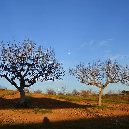 La Vallejera Tejeda Del Tietar