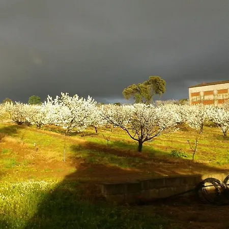 La Vallejera * Tejeda de Tiétar