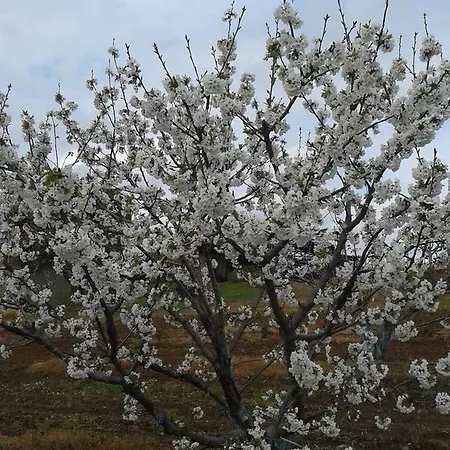 La Vallejera カントリーハウス Tejeda de Tiétar
