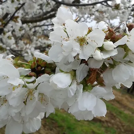 La Vallejera カントリーハウス *
