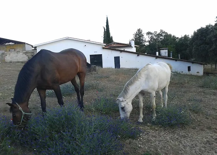 La Vallejera Tejeda de Tiétar