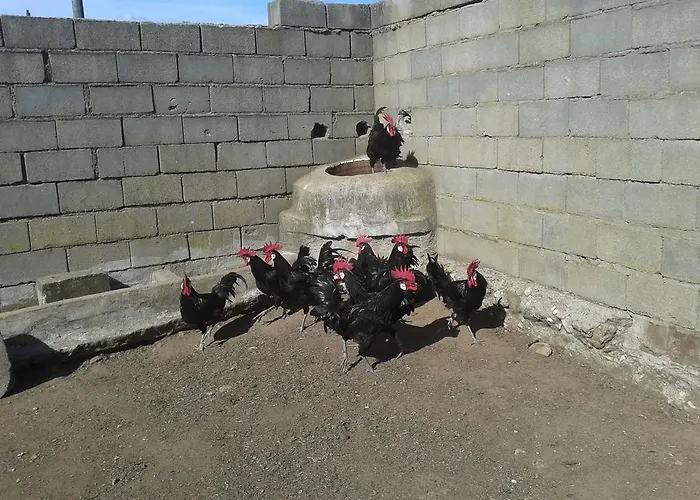 La Vallejera Tejeda de Tiétar