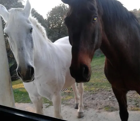 Landhuis La Vallejera