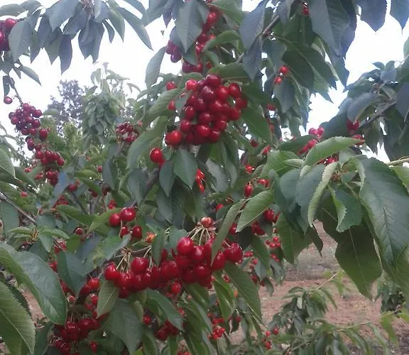 La Vallejera בית כפרי