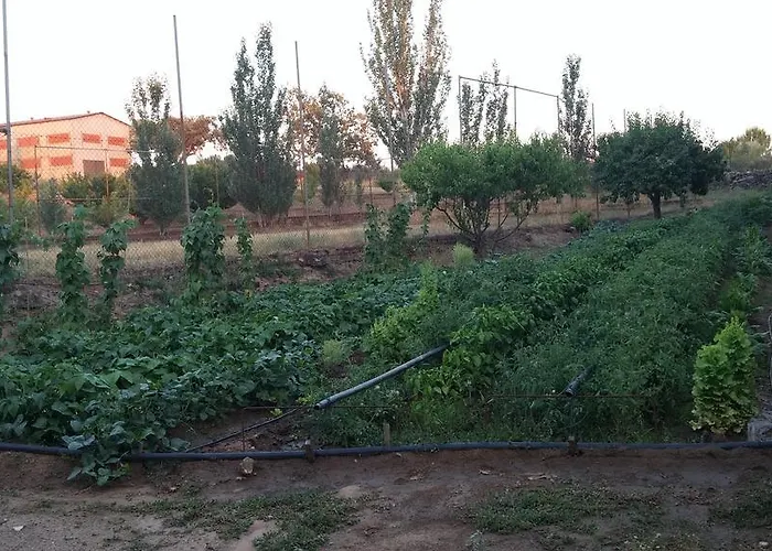 La Vallejera * Tejeda de Tiétar