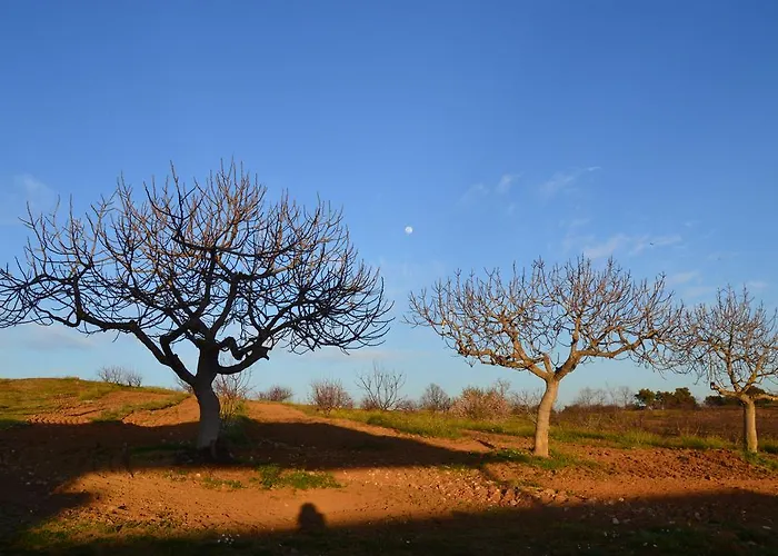 La Vallejera Tejeda de Tiétar