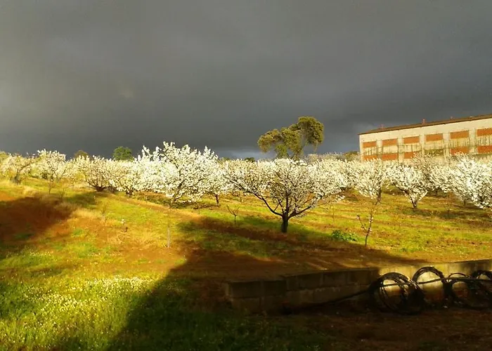 La Vallejera * Tejeda de Tiétar