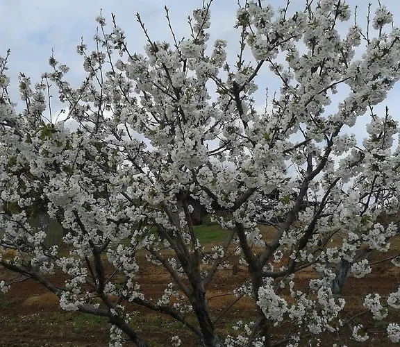 La Vallejera Landhuis Tejeda de Tiétar