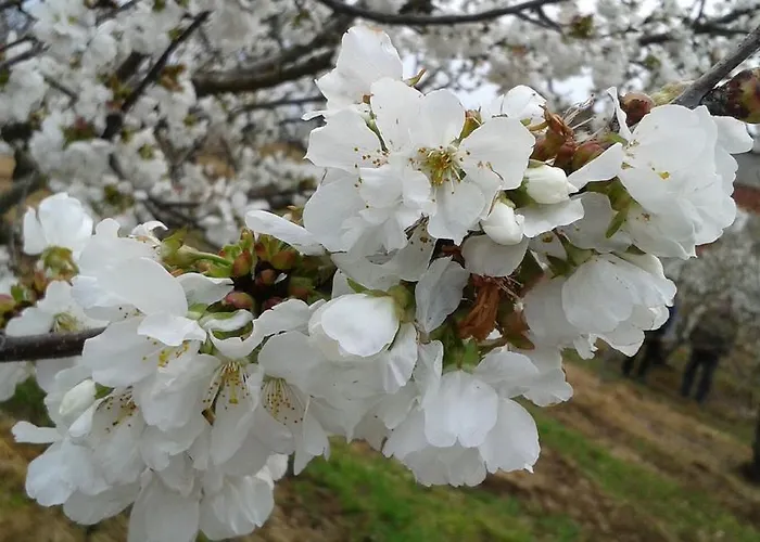 La Vallejera Landhuis *