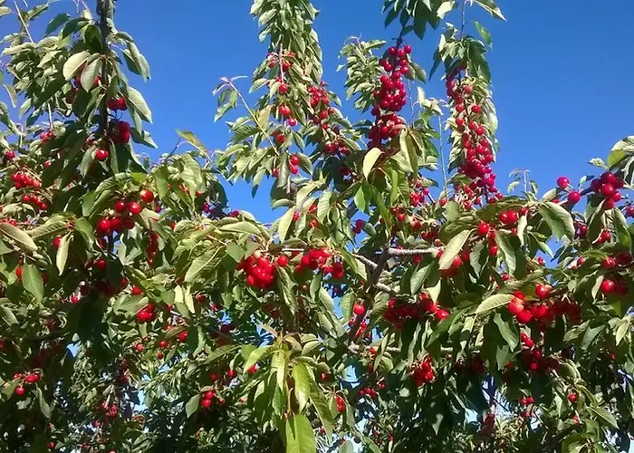 Landhuis La Vallejera